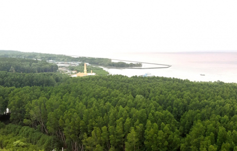 Cà Mau khởi công, khánh thành nhiều công trình quy mô lớn nhân kỷ niệm ngày Quốc khánh 2/9