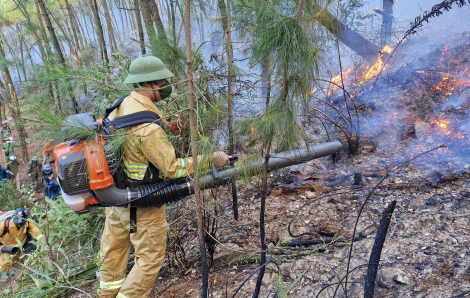 Huy động hàng trăm người dập lửa cứu rừng bị sét đánh cháy ở Nghệ An