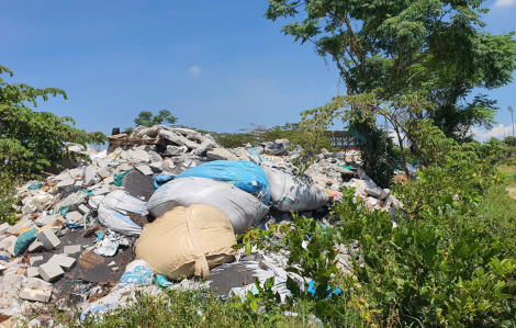 Rác thải vứt bừa bãi khắp đường phố Đà Nẵng