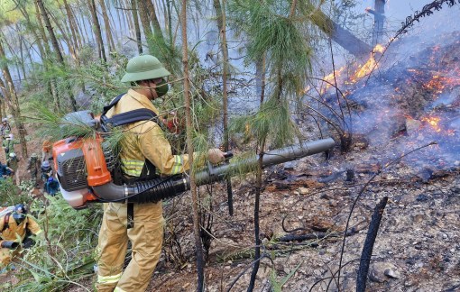 Huy động hàng trăm người dập lửa cứu rừng bị sét đánh cháy ở Nghệ An