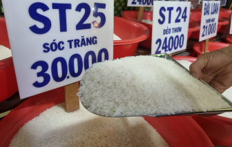 Thiếu "gạo ngon nhất thế giới" xuất khẩu