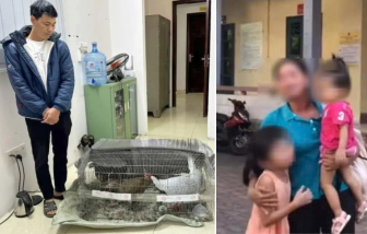 Vụ lĩnh 6 năm tù vì nuôi bán 13 con gà lôi trắng: Có khả năng miễn trách nhiệm hình sự