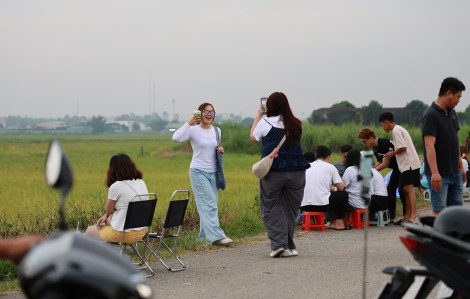 Không gian yên bình của quán cà phê giữa đồng lúa ở Hóc Môn