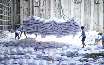Những lưu ý cho doanh nghiệp khi Philippines tạm ngừng nhập khẩu gạo từ Việt Nam