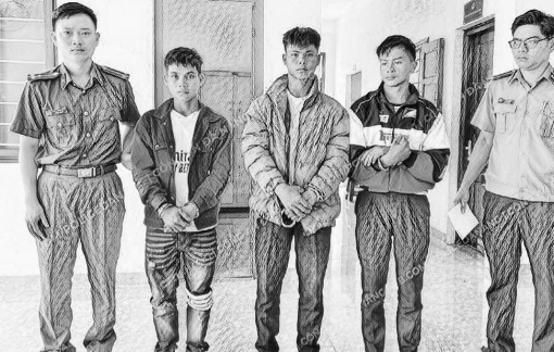 Bắt 3 nghi phạm trộm gần 300 gốc sâm Ngọc Linh