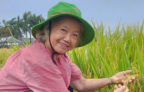 Bài 8: Giống lúa bạc tỉ và giấc mơ của người đàn bà lội đồng