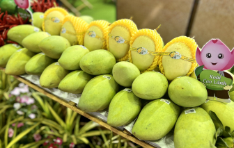 Người châu Âu 'mê' chanh leo, xoài Việt Nam