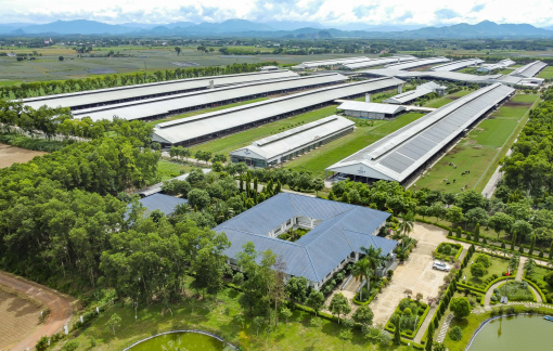 Brand Finance: Vinamilk vươn lên dẫn đầu thế giới về tiềm năng thương hiệu ngành sữa