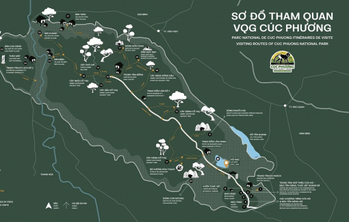 Tìm thấy thi thể du khách mất tích nhiều ngày trong rừng Cúc Phương