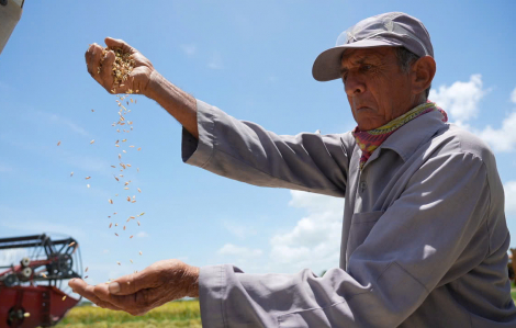 Phim tài liệu đặc biệt sắp phát sóng song song tại Việt Nam và Cu Ba