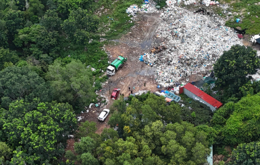 Bắt giám đốc công ty ở TPHCM gây ô nhiễm môi trường