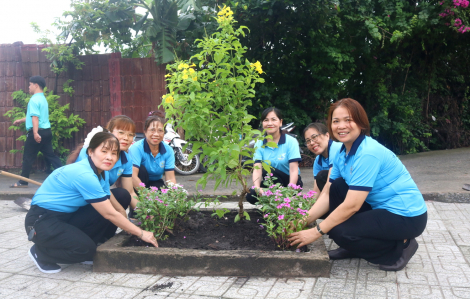 Phụ nữ chung tay gieo màu xanh cho thành phố