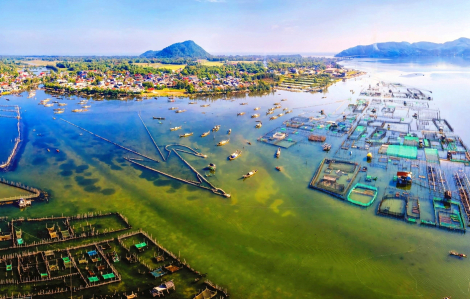 Tiếc cho du lịch phá Tam Giang
