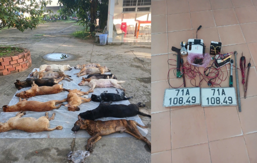 Vĩnh Long: Tạm giữ hai đối tượng đi xe 4 bánh, bắt trộm 14 con  chó của người dân