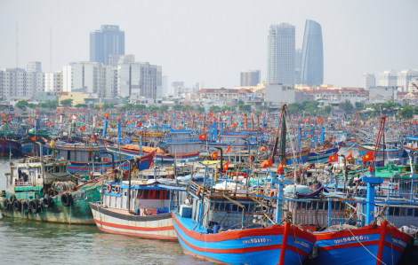 Đà Nẵng triển khai các biện pháp ứng phó bão số 5 Kajiki