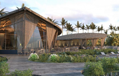 Một ngày tái tạo năng lượng toàn diện tại Namia: Hành trình từ bình minh đến đêm an