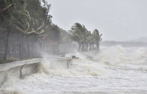 Thủ tướng chỉ đạo 12 tỉnh, thành phố ứng phó khẩn với bão số 5