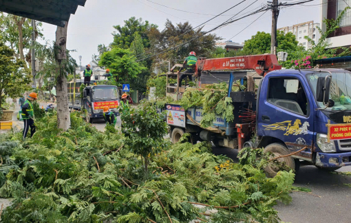 Đà Nẵng khẩn trương cắt tỉa cây, khơi thông cống thoát nước ứng phó bão Kajiki