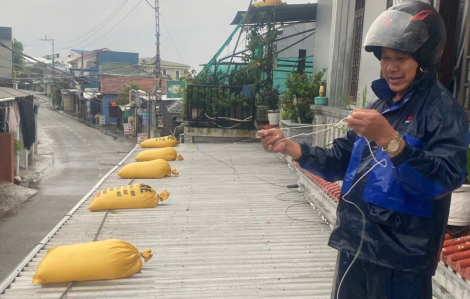 Người dân tất bật gặt lúa non chạy bão số 5