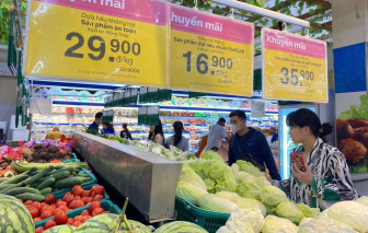 Các siêu thị cấp tập tăng nguồn hàng về miền Trung, ứng phó bão số 5