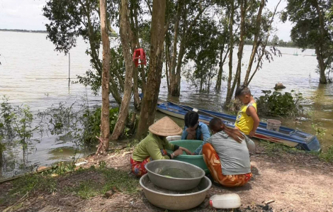 Đánh bắt thủy sản mưu sinh mùa nước nổi
