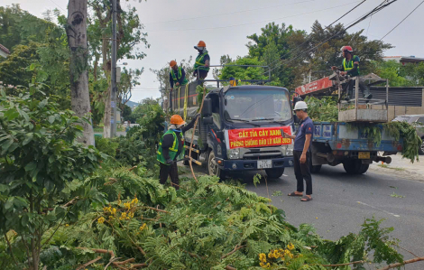 Hàng trăm ngàn hecta lúa, nhiều tuyến đê biển ở Bắc Trung Bộ có nguy cơ ảnh hưởng bão số 5
