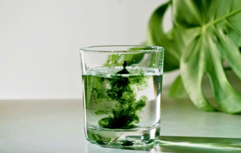 Làm đẹp từ bên trong: Thực hư công dụng của diệp lục và collagen