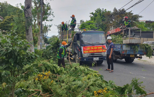 Hàng trăm ngàn hecta lúa, nhiều tuyến đê biển ở Bắc Trung Bộ có nguy cơ ảnh hưởng bão số 5