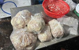 Phát hiện cơ sở chế biến bắp chuối sử dụng hóa chất tẩy trắng
