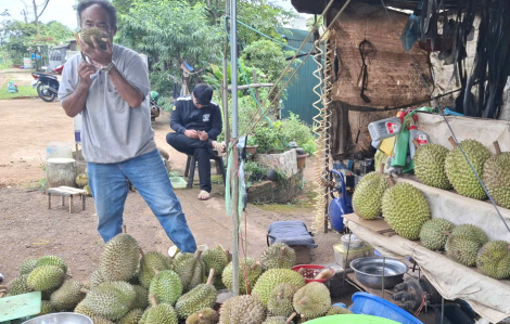 Một nửa Đắk Lắk…yêu thương