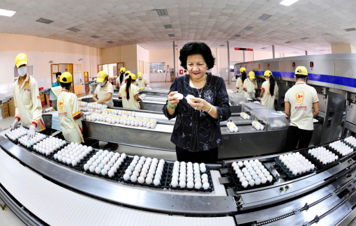 Ưu đãi cho nữ doanh nhân: Nghe nhiều, thấy ít