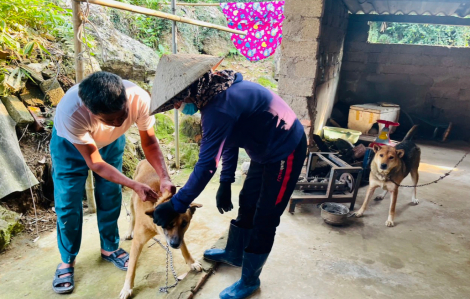 Bé trai 4 tuổi vật vã, sợ gió, sợ nước, chảy dãi rồi tử vong