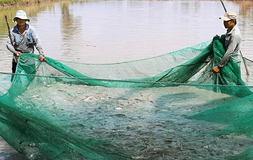 Miền Tây: Sống thuận thiên theo con nước lũ