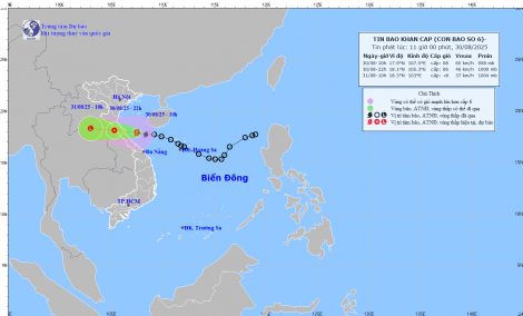 Chiều tối nay, bão số 6 sẽ đổ bộ Hà Tĩnh - Quảng Trị, cảnh báo mưa lớn và gió mạnh