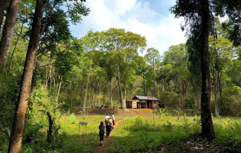 Những cung đường đi bộ "dân trekking" không thể bỏ qua