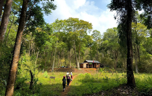 Những cung đường đi bộ "dân trekking" không thể bỏ qua