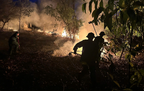 Dập lửa cứu rừng tràm, phát hiện thi thể người đàn ông chết cháy