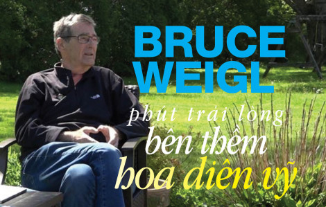 BRUCE WEIGL: Phút trải lòng bên thềm hoa diên vỹ
