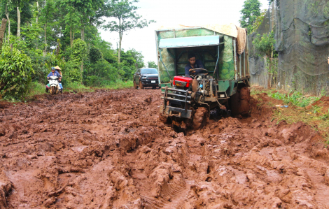 Nông dân 'đánh vật' với đường thi công dang dở để đưa sầu riêng ra khỏi vườn