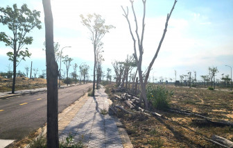 Thi công ì ạch, khách hàng Nhơn Hội New City yêu cầu đình chỉ các dự án của Phát Đạt