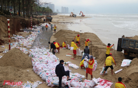Chủ động ứng phó với tình trạng sạt lở bờ biển Đà Nẵng
