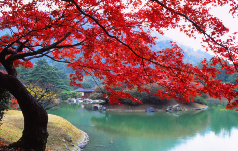 Khám phá những điểm đến mới toanh tại Nhật Bản mùa lá đỏ