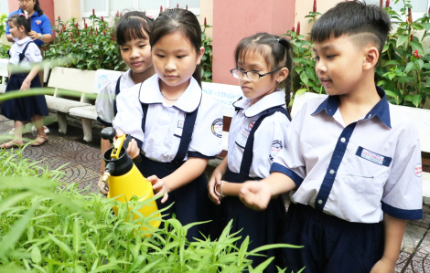 Trường tiểu học TPHCM đẩy mạnh giáo dục STEM cho học sinh