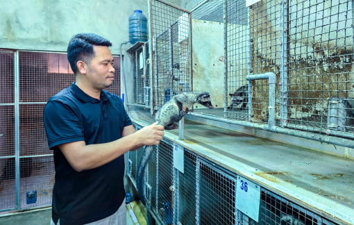 Nuôi động vật hoang dã để làm giàu, sao cho đúng luật?