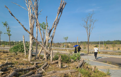 Đề nghị Công ty Phát Đạt và Danh Khôi xử lý các tồn đọng của dự án Nhơn Hội New City