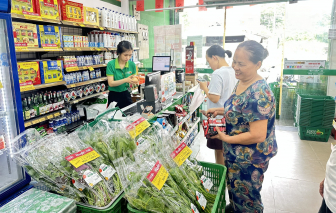 Chiến lược cạnh tranh của nhà bán lẻ thuần Việt tại thị trường TPHCM mới