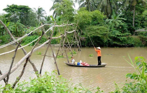 Cầu khỉ ngoại thành