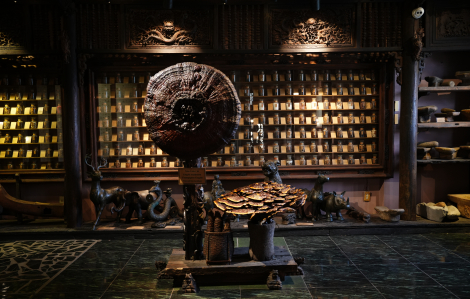 Chạm vào lịch sử y học cổ truyền giữa lòng TPHCM