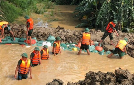 Chủ động ứng phó thay vì bị động đối phó