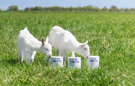 Hành trình đổi sữa cho con: Giải pháp dịu nhẹ cho "chiếc bụng nhạy cảm" của bé